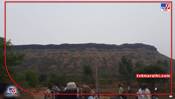 Satara : मधमाशांनी हल्ला केल्यानंतर घाबरलेला युवक दरी कोसळला, शिलोबाच्या डोंगरावर यात्रेसाठी गेला होता