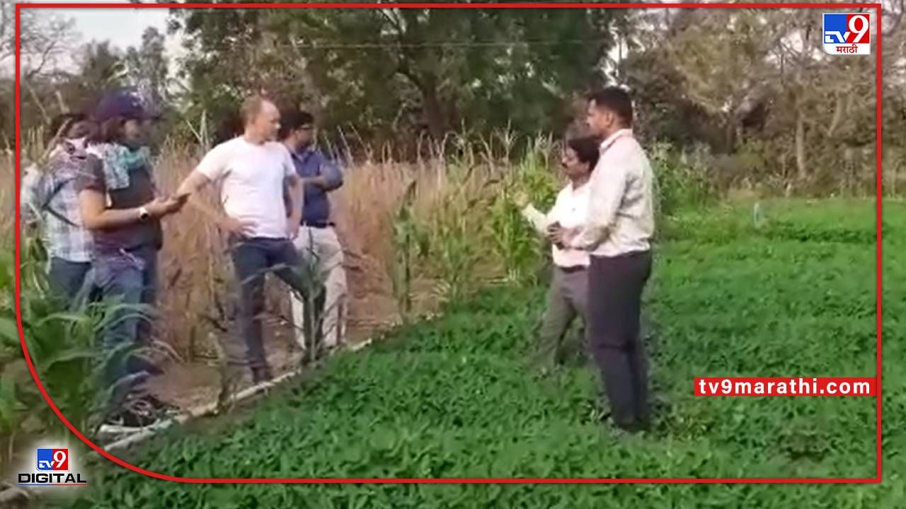 Pune : मशागतीविना शेती, तरुण शेतकऱ्याचा अभिनव उपक्रम पाहण्यासाठी परदेशी पाहुणे माळवाडीच्या शिवारात Pune : मशागतीविना शेती, तरुण शेतकऱ्याचा अभिनव उपक्रम पाहण्यासाठी परदेशी पाहुणे माळवाडीच्या शिवारात