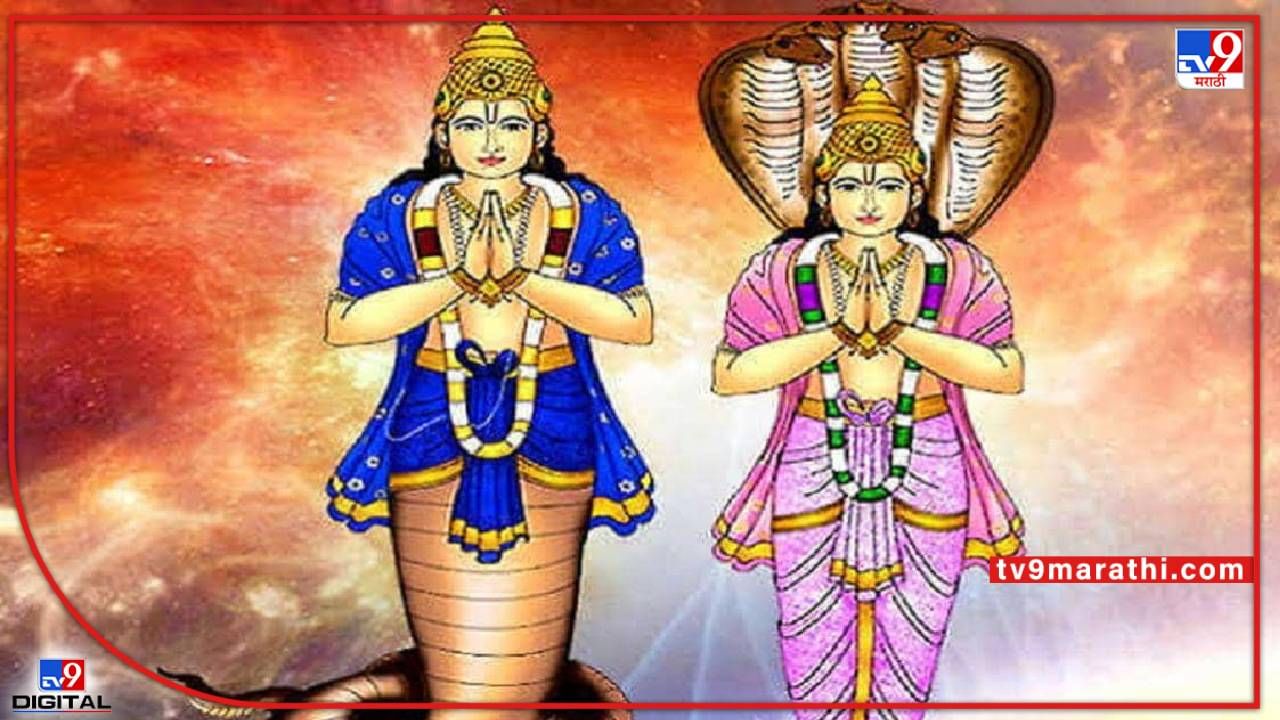 कुंडलीत राहु-केतू दोष आहे, मग हा उपाय करा, सुख शांती लाभेल कुंडलीत राहु-केतू दोष आहे, मग हा उपाय करा, सुख शांती लाभेल