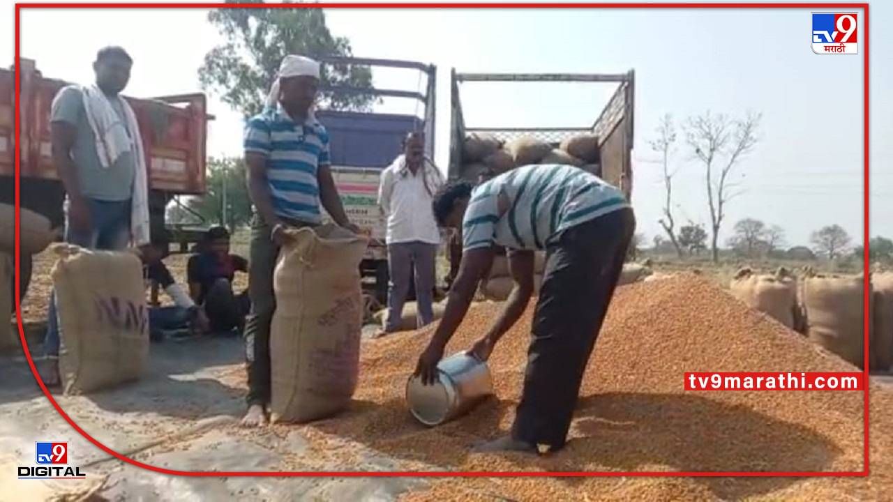 Chickpea Crop : हमीभाव केंद्रावर हरभरा विक्रीचा मार्ग मोकळा, पणन मंडळाने 'असा' कोणता निर्णय घेतला?