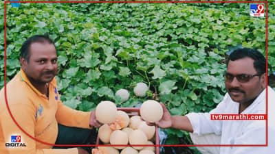 Special News : बीडच्या जाधव बंधूची फिनिक्स भरारी, आता थेट कृषिभूषण पुरस्काराची मोहर