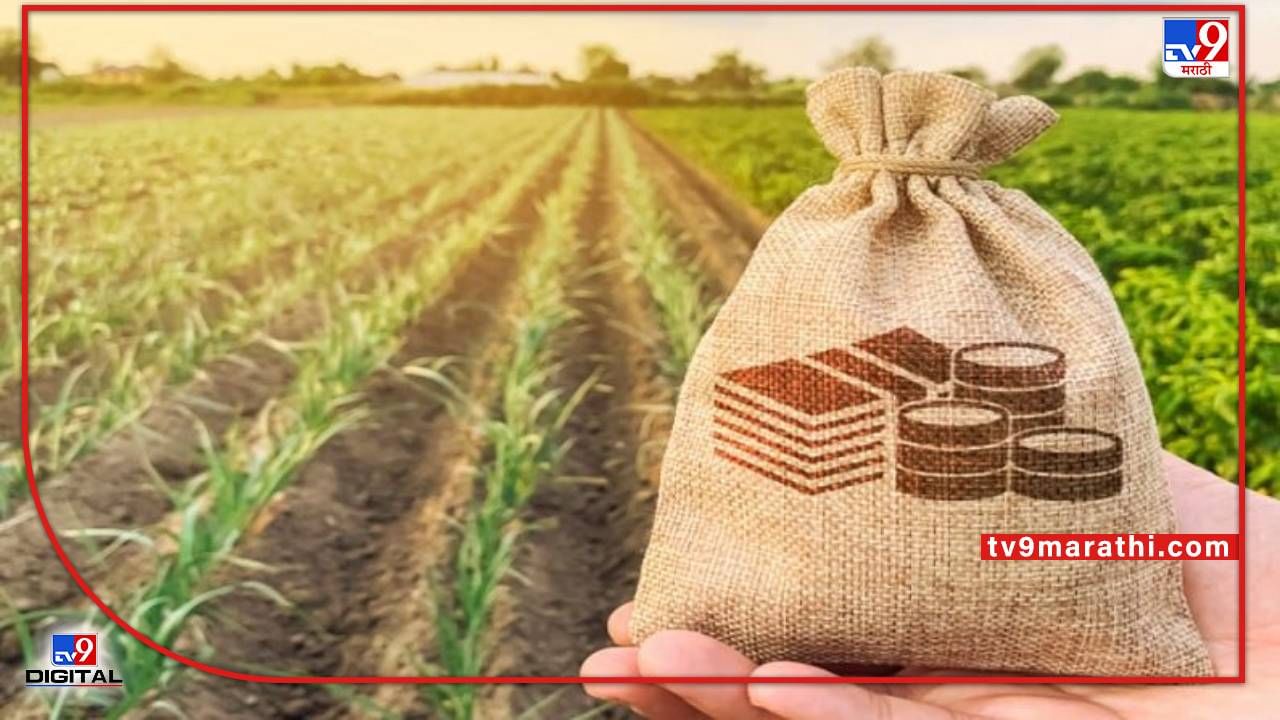 Crop Loan : खरिप हंगामातील पीककर्जाचे दर निश्चित, असे मिळवा कर्ज अन् जाणून घ्या सर्वकाही