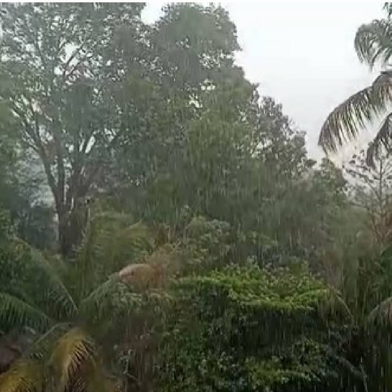  दक्षिण रत्नागिरीत पुन्हा अवकाळी पाऊस तडाखा बसला आहे.  पाचल गावात अवकाळी पावसाच्या सरी कोसळल्या आहेत.  जिल्ह्यात अनेक भागात दुपारनंतर तापमानात वाढ आठवडाभर अवकाळी पावसाचा हवामान खात्याचा अंदाज व्यक्त केला आहे. 
