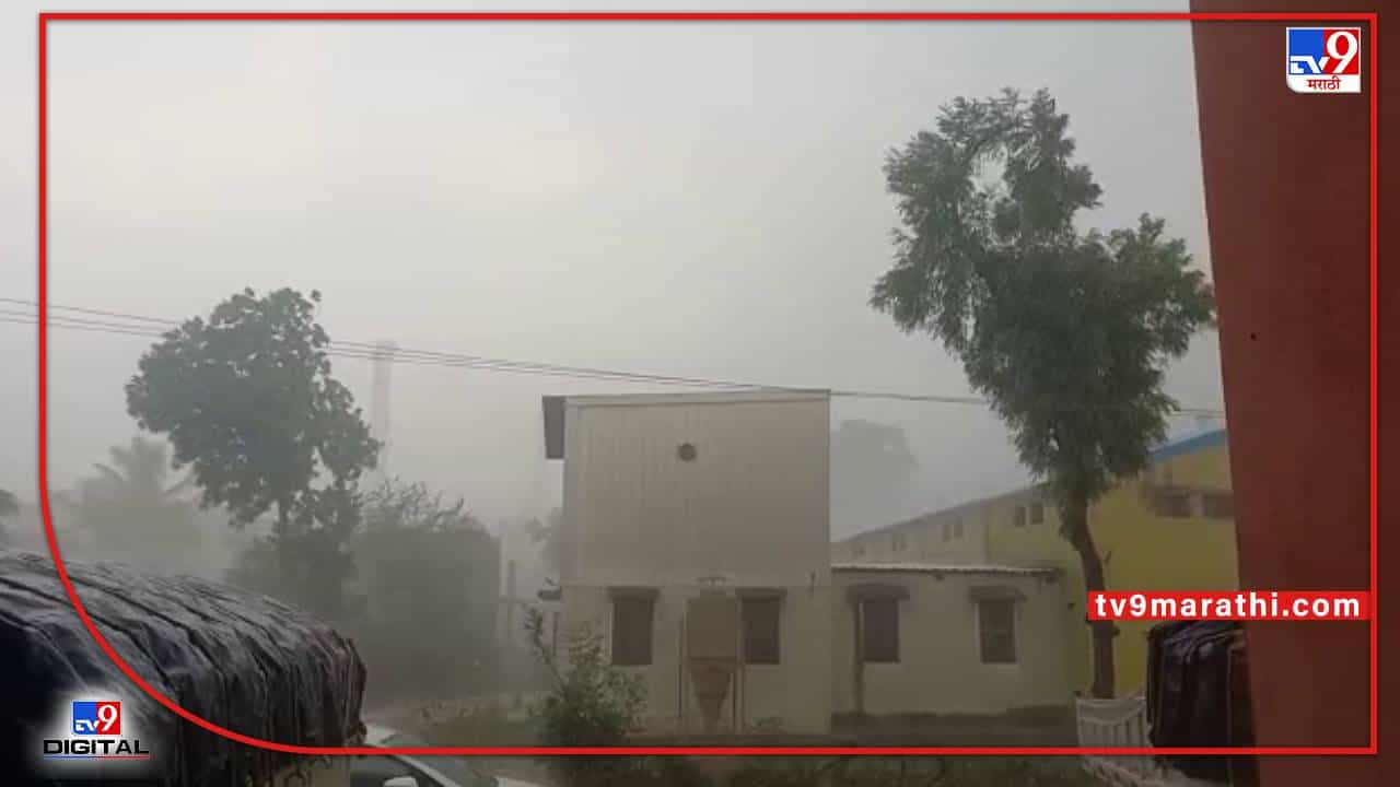 Havey rain: सांगलीला अवकाळी पावसाचा तडाखा; पावसामुळे शेतमालाचे नुकसान