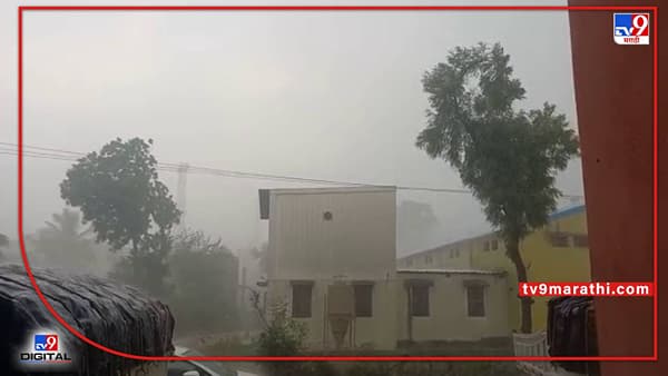 Havey rain: सांगलीला अवकाळी पावसाचा तडाखा; पावसामुळे शेतमालाचे नुकसान