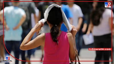 Heat wave : उष्णतेच्या लाटेचा ओडिशाला फटका, उष्णतेच्या लाटेमुळे ओडिशातील सर्व सरकारी आणि खाजगी शाळा 5 दिवस बंद