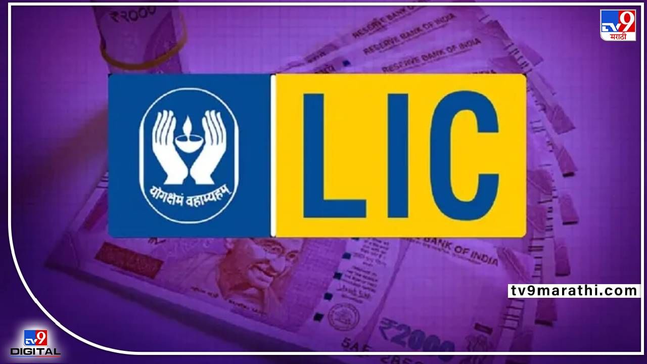 LIC IPO Subscription Status : पहिल्याच दिवशी एलआयसीच्या IPOला विक्रमी प्रतिसाद; विमाधारक श्रेणीतील अर्ज सर्वाधिक