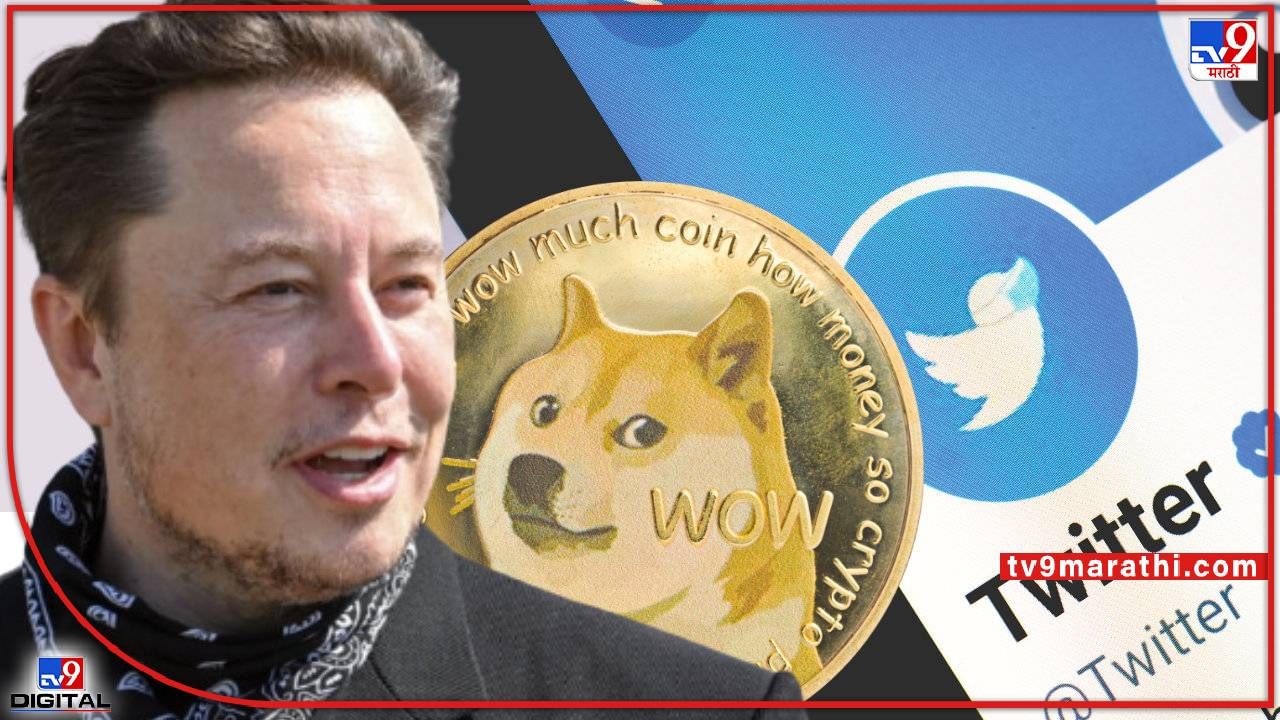 Elon buy twitter : एलन मस्क ट्विटरचे मालक बनताच क्वईन लॉंच, लगेच वाढली 7 हजार टक्क्यांनी किंमत, हा घोटाळा तर नाही ना?