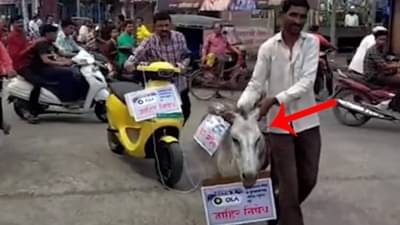 Video : ओलाची स्कुटर बंद पडली, पठ्ठ्याने थेट गाढव गाडीला बांधलं अन् गावभर वरात काढली, चर्चा तर होणारच!