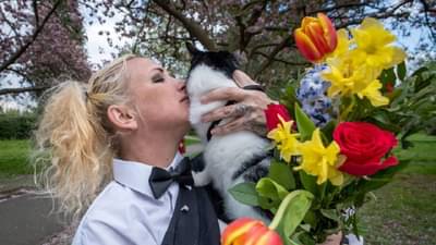 ऐकावं ते नवलच! 49 वर्षांच्या महिलेचं 5 वर्षांच्या मांजरीसोबत लग्न, कुणाचं शुभ कुणी व्हायचं सावधान?