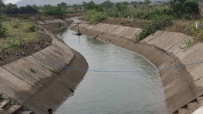 Sangli | आरफळ कॅनलमध्ये दोन मुली बुडाल्या, एकीचा मृतदेह सापडला, दुसरी बेपत्ता, सांगली जिल्ह्यातील तासगावची घटना