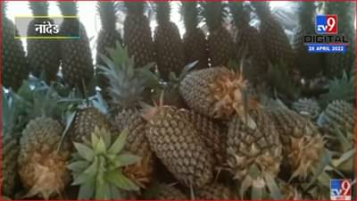 इंधन दरवाढीमुळे फळांच्या दरात वाढ