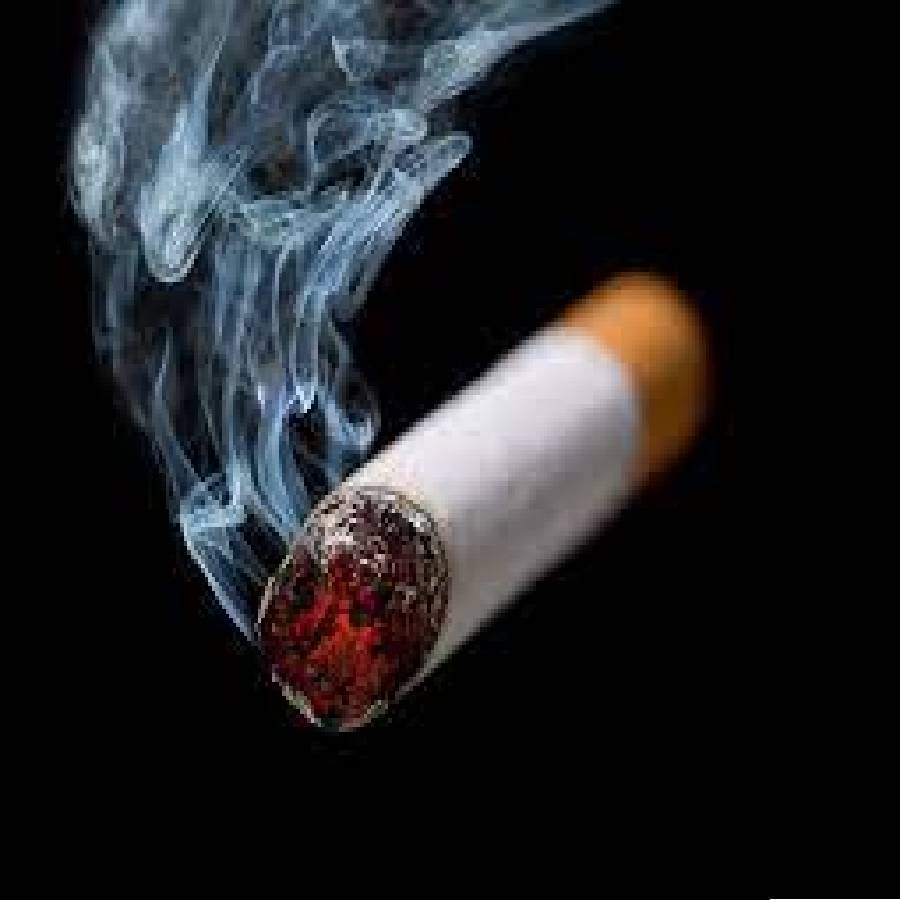धूम्रपानाच्या व्यसनापासून मुक्त होण्यासाठी तुम्ही औषधी गुणधर्मांनी भरलेल्या तुळशीची मदत घेऊ शकता. आयुर्वेदिक तज्ञांच्या मते, दररोज सकाळी रिकाम्या पोटी दोन ते तीन तुळशीची पाने खा. 