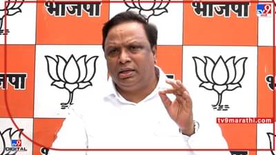 Ashish Shelar: 2017मध्ये भाजप आणि राष्ट्रवादीची युती होणार होती, पण...; आशिष शेलारांचा गौप्यस्फोट