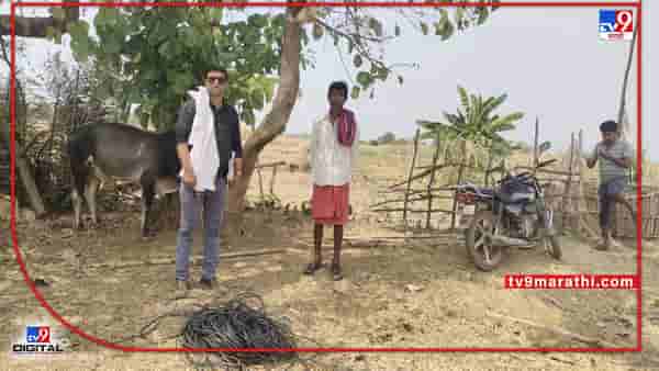MSEDCL | चंद्रपुरात महावितरणचा 1 हजार 161 आकडे बहाद्दरांना दणका; वीज चोरी करणाऱ्यांवर फौजदारी गुन्हे