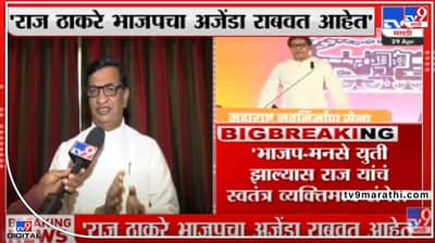 Raj Thackeray : राज ठाकरे भाजपचा अजेंडा राबवतायत, त्यांचं स्वतंत्र अस्तित्व धोक्यात- बाळासाहेब थोरात