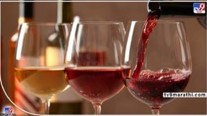 Red Wine : 'ओ हॅलो, रेड वाईन हेल्थसाठी चांगली असते', असं जेव्हा म्हणाल तेव्हा हे मुद्दे सुद्धा त्यात वापरा !