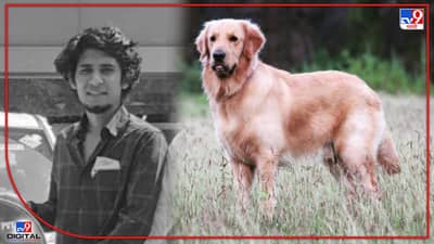एवढं प्रेम केलं की त्याच्यासाठी प्राणही त्यागला! मालकाचा बुडून मृत्यू, कासावीस झालेल्या कुत्र्यानंही मान टाकली