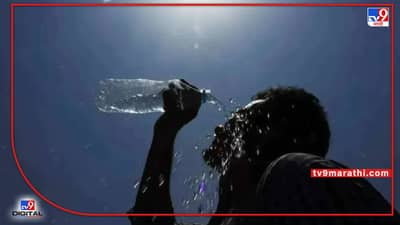 Heat Wave : देशात उष्णतेची लाट, वाढत्या गर्मीसह लोडशेडिंगचे संकट, अनेक राज्यात वीज खंडित होण्याच्या मार्गावर? काय आहेत याची 10 कारणं