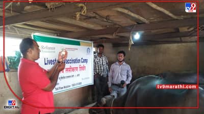 World Veterinary Day 2022 : पशुवैद्यकांच्या संशोधनामुळे मिळतेय पशूपालन व्यवसायाला चालना