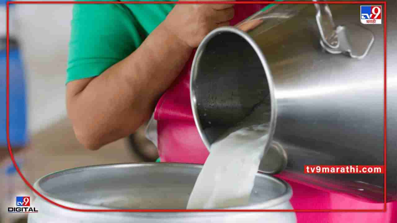 Milk Production : दूध उत्पादनात महाराष्ट्र टॉप वर, दर वाढूनही उत्पादकांची निराशा कायम, काय आहेत कारणे?