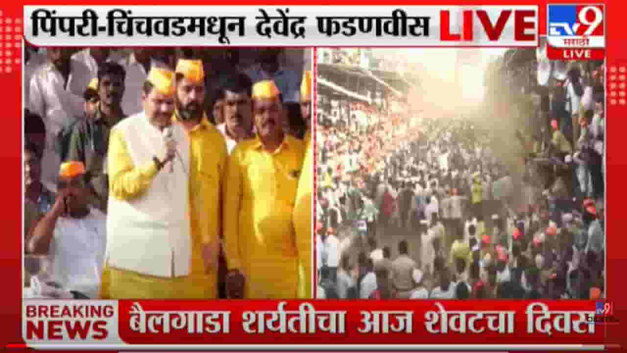 आम्ही बैलगाडा शर्यत कधी बंद पडू देणार नाही - देवेंद्र फडणवीस