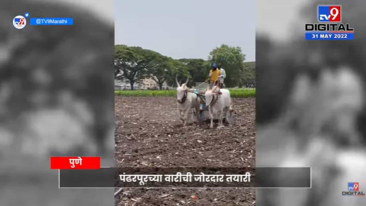 Pune Bailjodi | संत ज्ञानेश्नर महाराजांच्या पालखीचा मान फुरसूंगीतील सोन्या-माऊलीला Pune Bailjodi | संत ज्ञानेश्नर महाराजांच्या पालखीचा मान फुरसूंगीतील सोन्या-माऊलीला