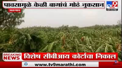 Jalgaon | जळगावच्या रावेरमध्ये वादळी वाऱ्यासह पाऊस