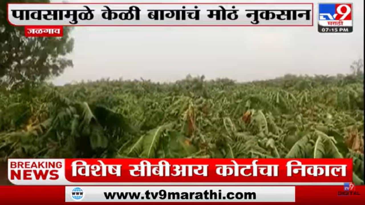 Jalgaon | जळगावच्या रावेरमध्ये वादळी वाऱ्यासह पाऊस Jalgaon | जळगावच्या रावेरमध्ये वादळी वाऱ्यासह पाऊस