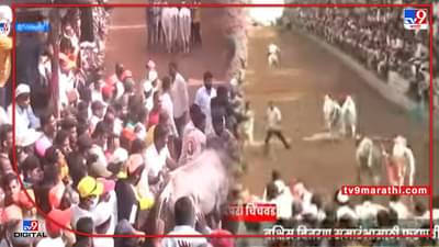 Bull Cart Race : भिर्रर्रर्रर्र.... पिंपरी-चिंचवडमध्ये बैलगाडा शर्यत विजेत्यांवर बक्षिसांची खैरात! पाहून तुमचेही डोळे फिरतील