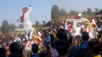 Video : हे महाशय वरातीत नवरदेवाच्या घोड्यावर चढून नाचू लागले, अन् वराला घेऊन खाली पडले...
