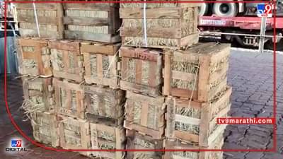 Ratnagiri : फळांचा राजास्थानकावरच मुक्कामी, नुकसान भरपाईसाठी बागायतदाराची थेट ग्राहक न्यायालयात धाव..!