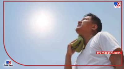 Madhya Pradesh : मध्यप्रदेशातील 20 जिल्ह्यांमध्ये तीन दिवस उष्णतेच्या लाटेचा इशारा, सरकारनं घेतला मोठा निर्णय