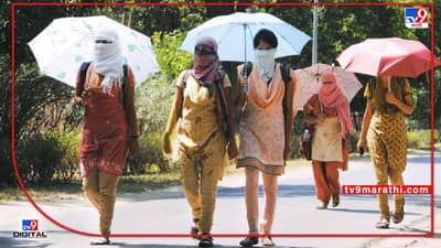 Temprature : पुढच्या पाच दिवसानंतर पुन्हा उष्णतेची लाट, चंद्रपुरात तापमान 45 अंश सेल्सिअसच्या पुढे जाणार