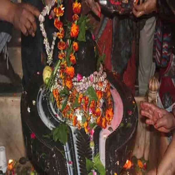 शंकर देव हा कल्याणकारी समजला जातो. तो सदैव भक्तांचे संकटातून रक्षण करण्यासाठी असतो. शंकरल्या या गोष्टी अत्यंत प्रिय असतात. त्या अर्पण केल्याने ते प्रसन्न होतात. जाणून घ्या कोणत्या गोष्टी शंकराला प्रिय आहेत.