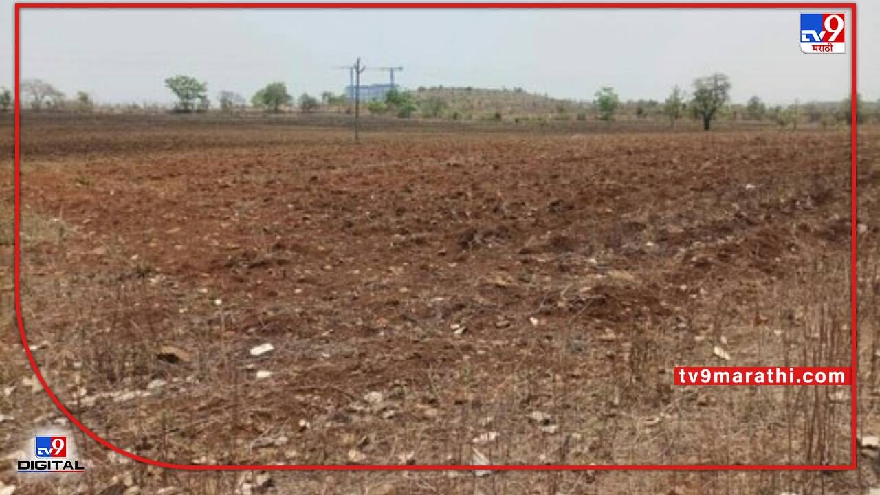 Agricultural : शेत जमिनीची धूप थांबवा अन् उत्पादन वाढवा, काय आहे उपाययोजना? Agricultural : शेत जमिनीची धूप थांबवा अन् उत्पादन वाढवा, काय आहे उपाययोजना?