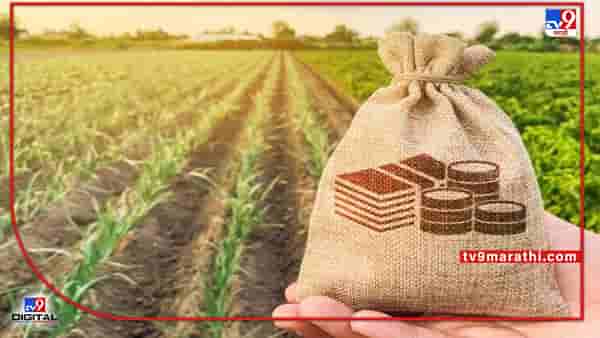 Crop Loan : शेतकऱ्यांना मिळणार पीक कर्जाचा आधार, नंदूरबार जिल्हा प्रशासनाचे नियोजन काय?