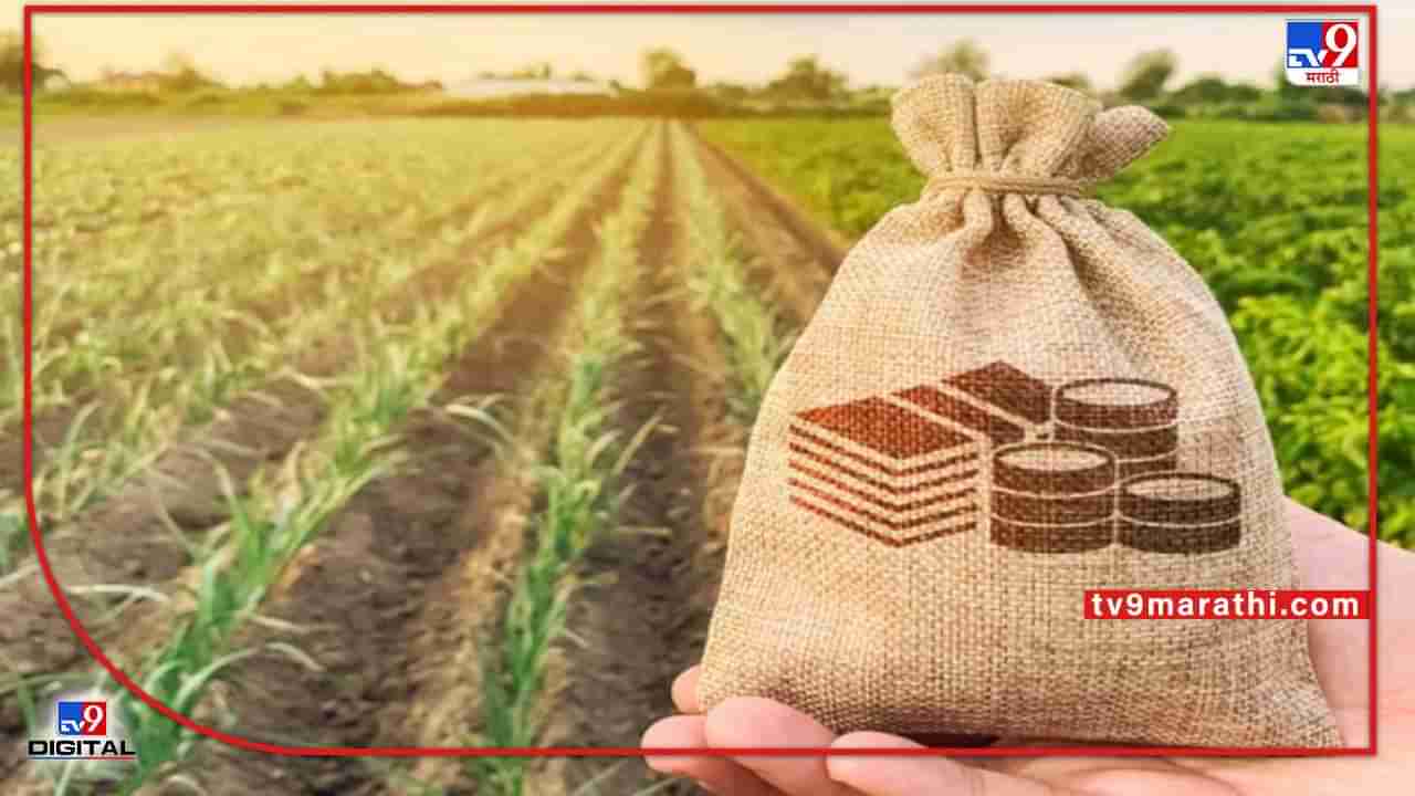 Crop Loan : शेतकऱ्यांना मिळणार पीक कर्जाचा आधार, नंदूरबार जिल्हा प्रशासनाचे नियोजन काय?