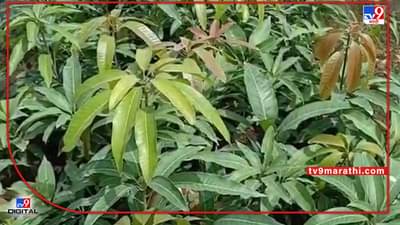 MGNREGA : आता शेत शिवार फुलणार फुलशेतीने, रोजगाराची हमी अन् उत्पादनात वाढ, सरकारची नेमकी योजना काय?