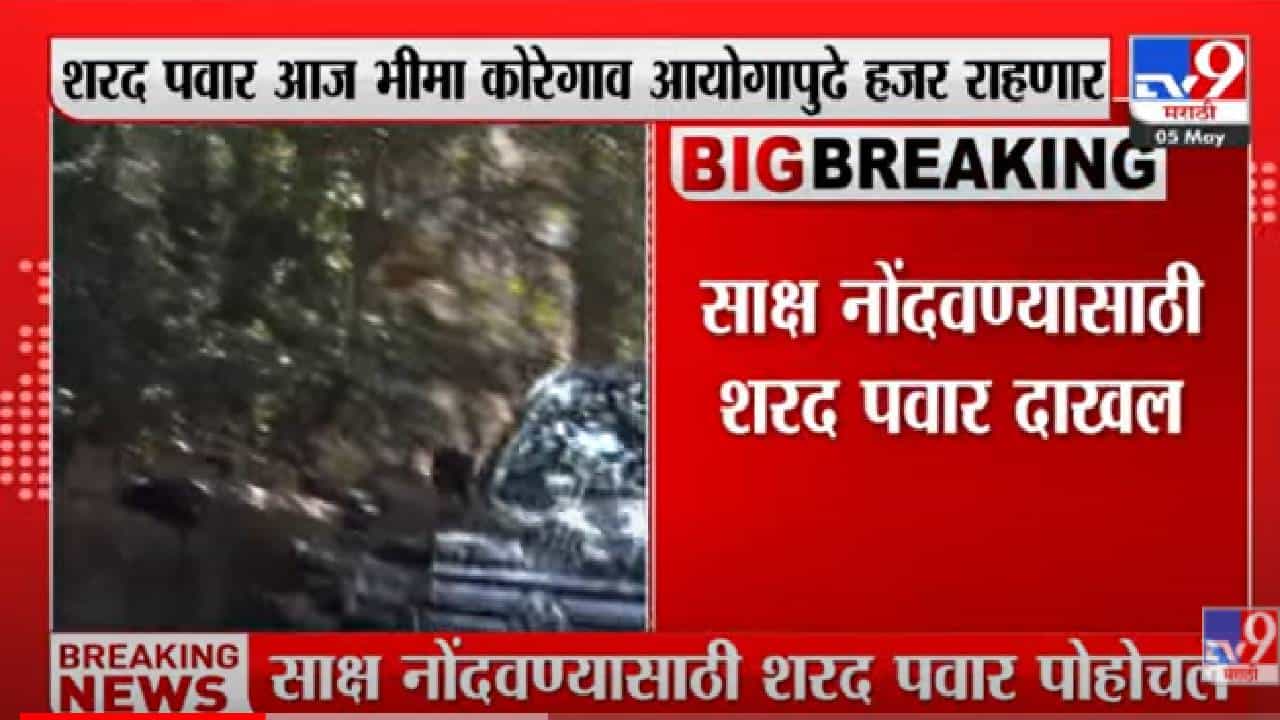 Koregaon Bhima Case: कोरेगाव भीमा हिंसाचारप्रकरणी शरद पवार आज साक्ष नोंदवणार! जाणून घ्या संपूर्ण प्रकरण