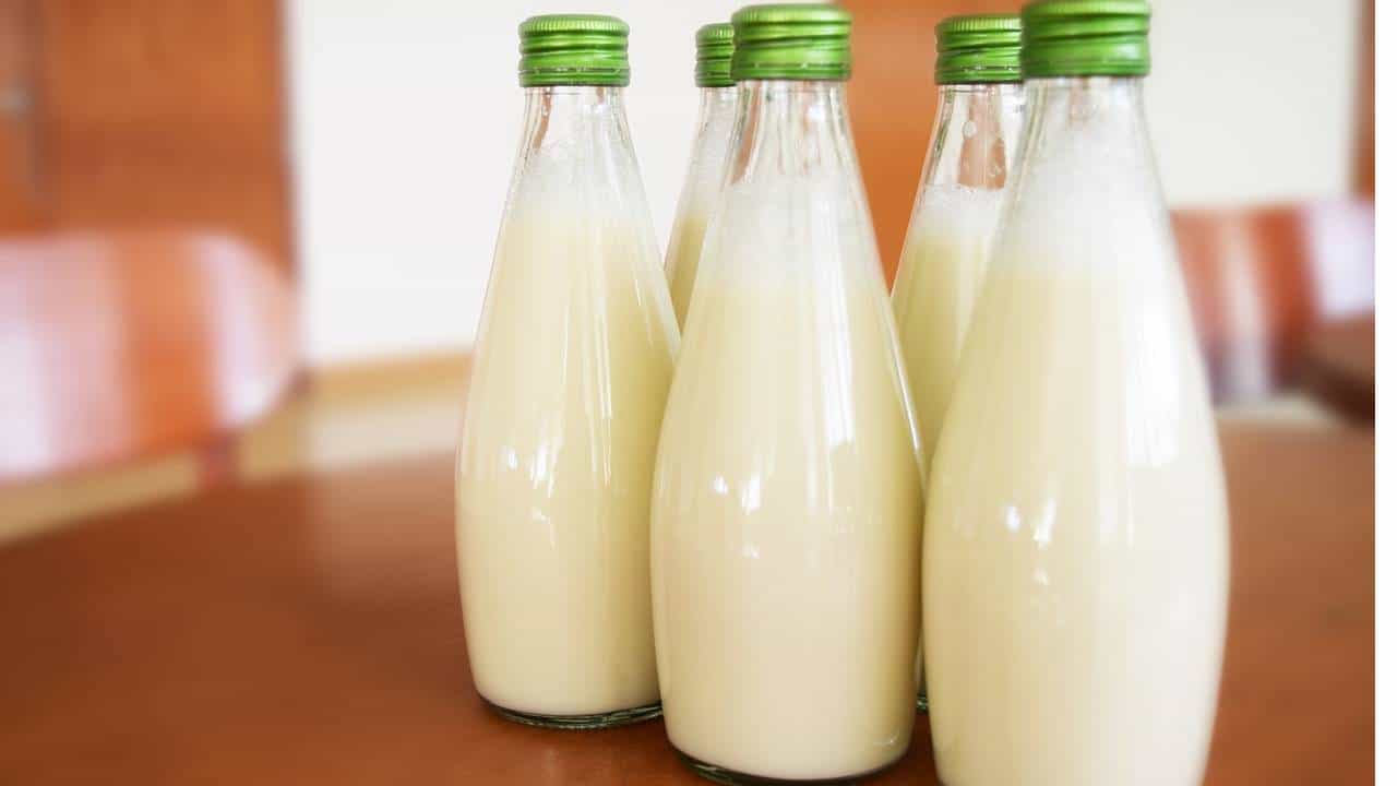 ‘या’ उन्हाळ्यात प्या थंड दूध... त्वचेच्या समस्येबरोबर पोटातील जळजळही थांबेल.. !