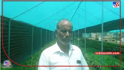 Success Story : मुलाचे संशोधन अन् वडिलांचे परिश्रम आले कामी, नांदेडच्या प्रयोगशील शेतकऱ्याला उद्यान पंडित पुरस्कार