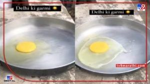 Video : तळपत्या उन्हात बनवला अंडे का फंडा! चपाती, चहापाठोपाठ आता उन्हातलं ऑम्लेट...