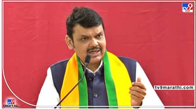 Devendra Fadnavis : तुम्हाला माशा मारायला, माल कमवायला ठेवलंय का?; ओबीसी आरक्षणावरून देवेंद्र फडणवीसांनी महाविकास आघाडीला फटकारलं