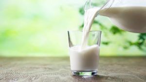 Cold Milk | उन्हाळ्याच्या हंगामात थंड दूध पिणे आरोग्यासाठी अत्यंत फायदेशीर, वाचा सविस्तर!