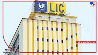 LIC IPO: दीर्घ मुदतीसाठी या IPO मध्ये गुंतवणूक करावी की नफा घ्यावा? काय आहे तज्ज्ञांचे मत