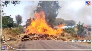 Pune fire incident : ट्रकनं पेट घेतल्यानं चारा जळून खाक; पुण्याच्या वेल्ह्यातल्या शेतकऱ्यांचं 50 हजारांचं नुकसान