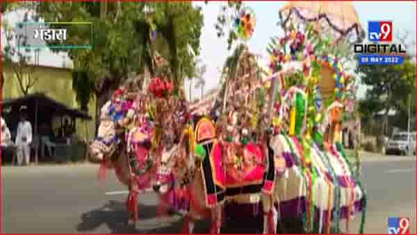शेतकरी पुत्राने काढली बैलगाडीतून लग्नाची वरात