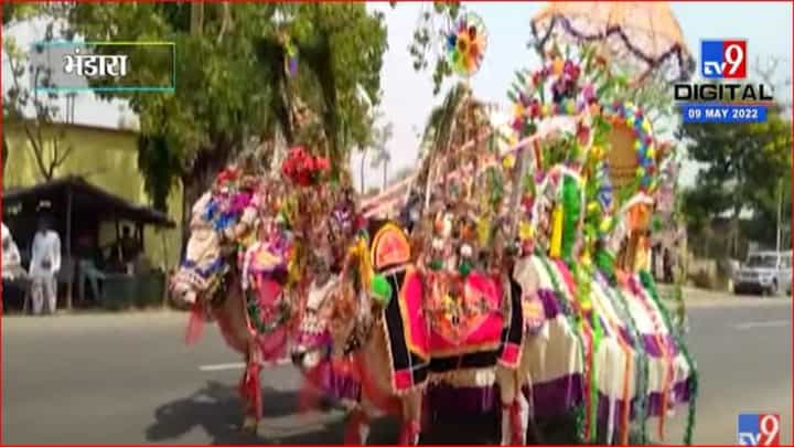 शेतकरी पुत्राने काढली बैलगाडीतून लग्नाची वरात शेतकरी पुत्राने काढली बैलगाडीतून लग्नाची वरात