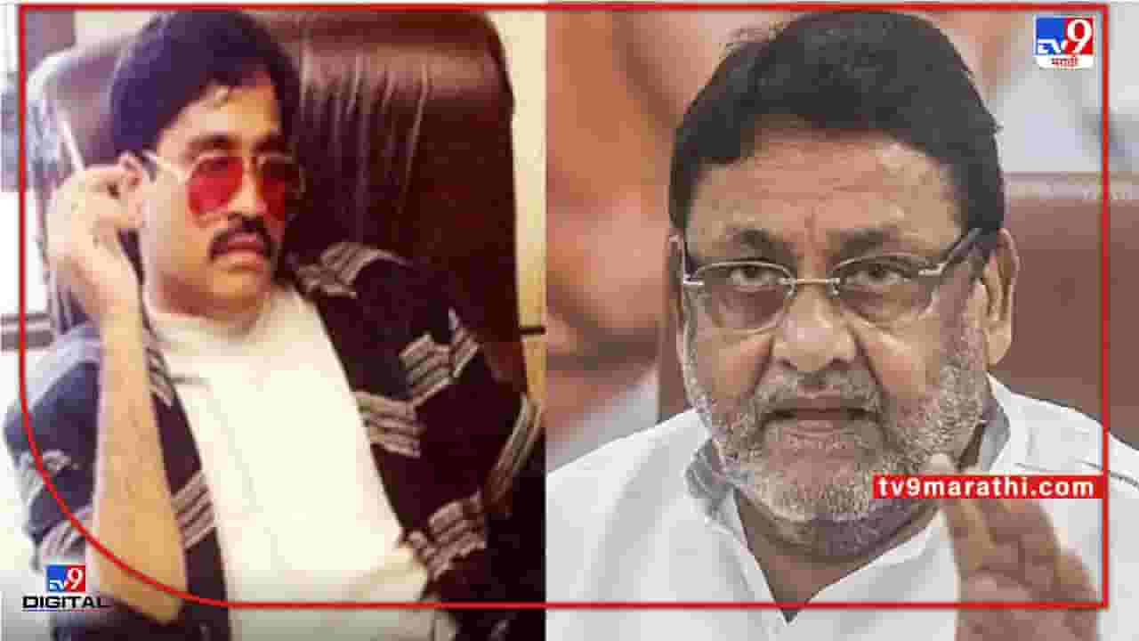 'नवाब मलिकांचे डी-गँगसोबत संबंध होते' कोर्टाचं निरीक्षण! मलिकांचा पाय आणखी खोलात?